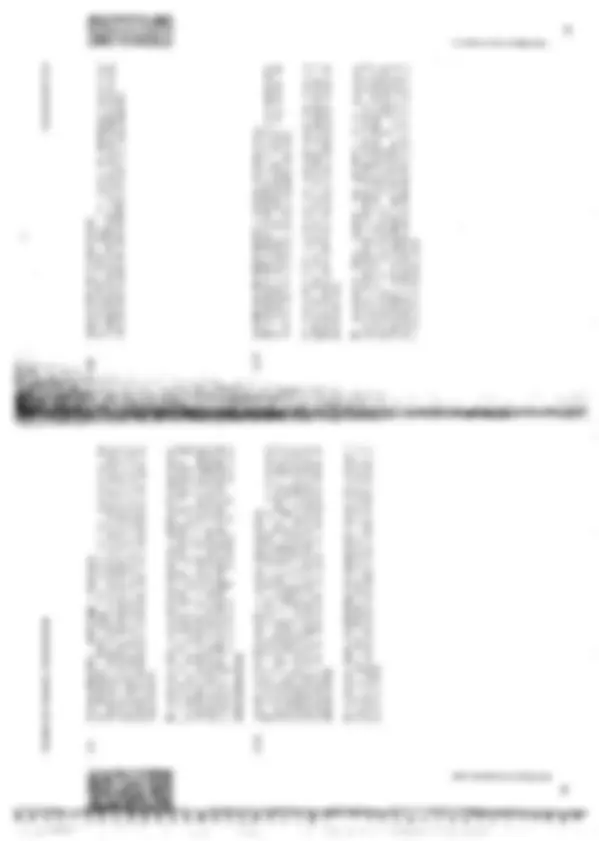 pf13