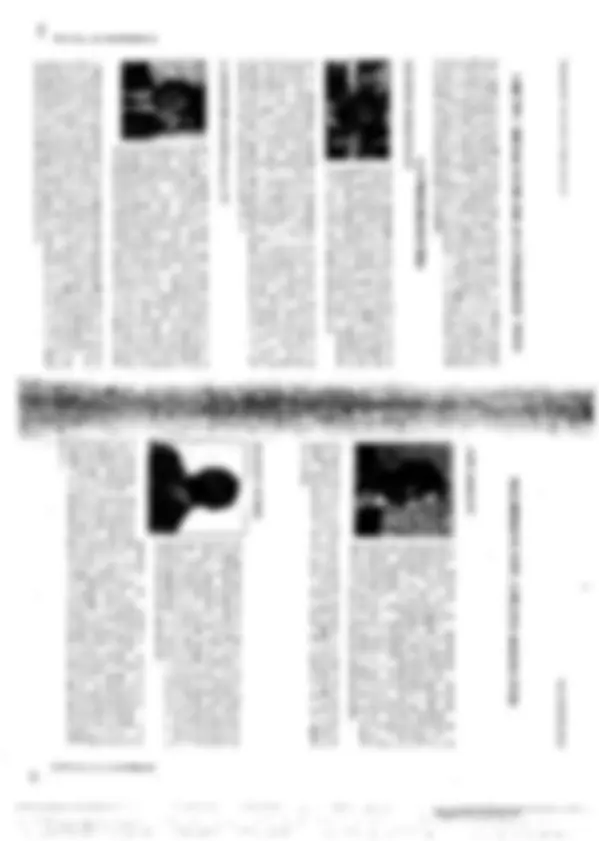 pf44