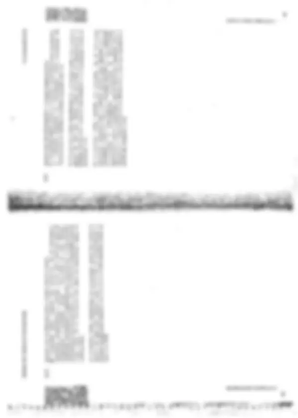 pf19