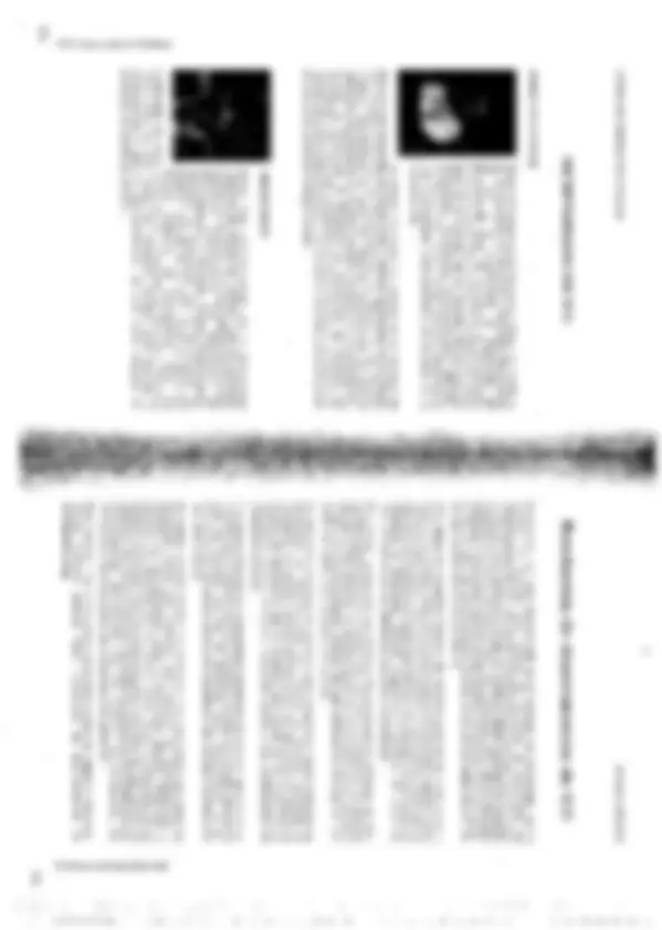 pf46