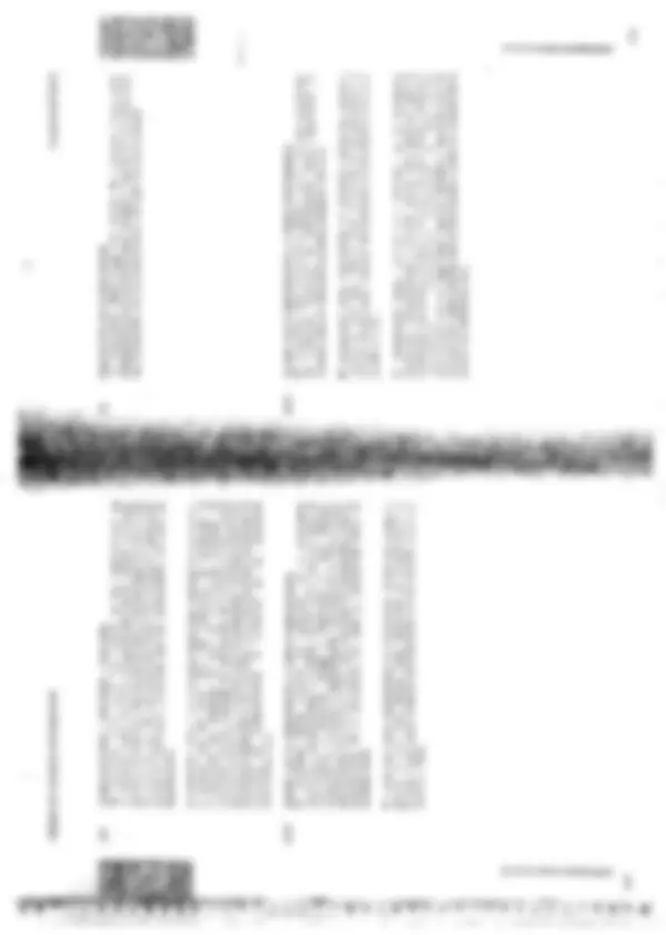 pf37