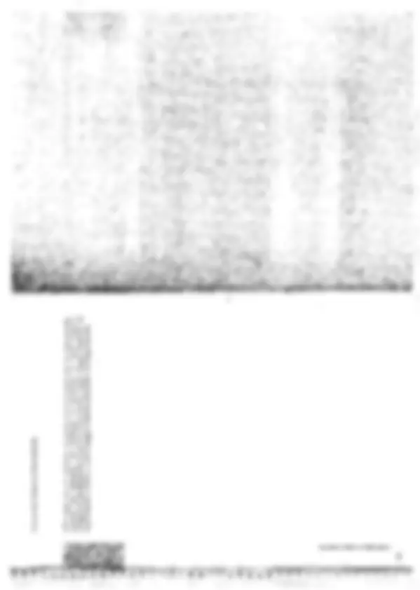 pf15