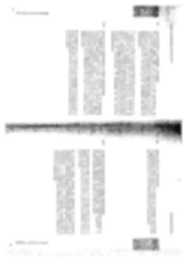 pf28