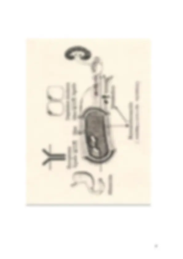 pf4