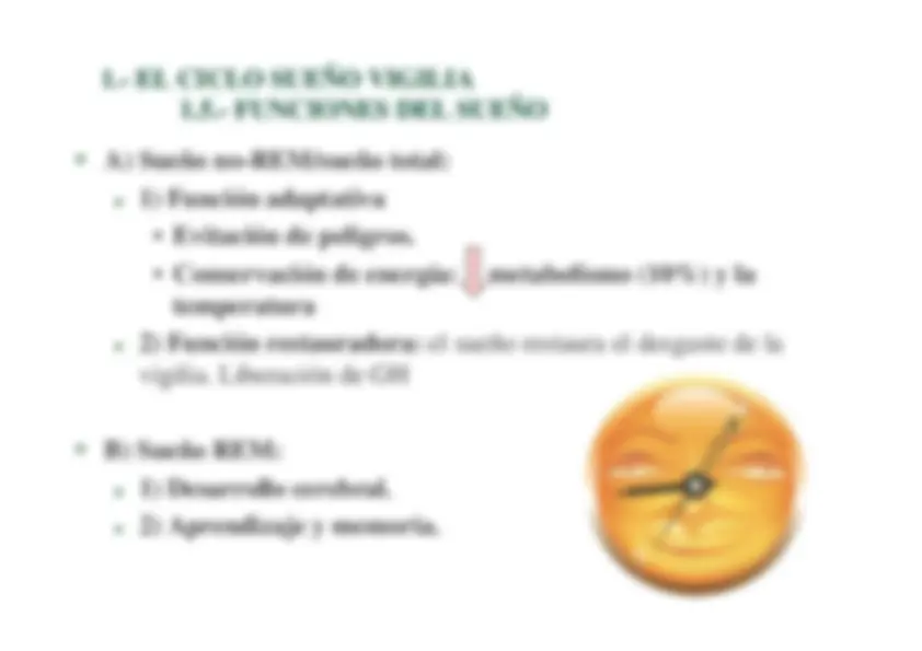 pf19