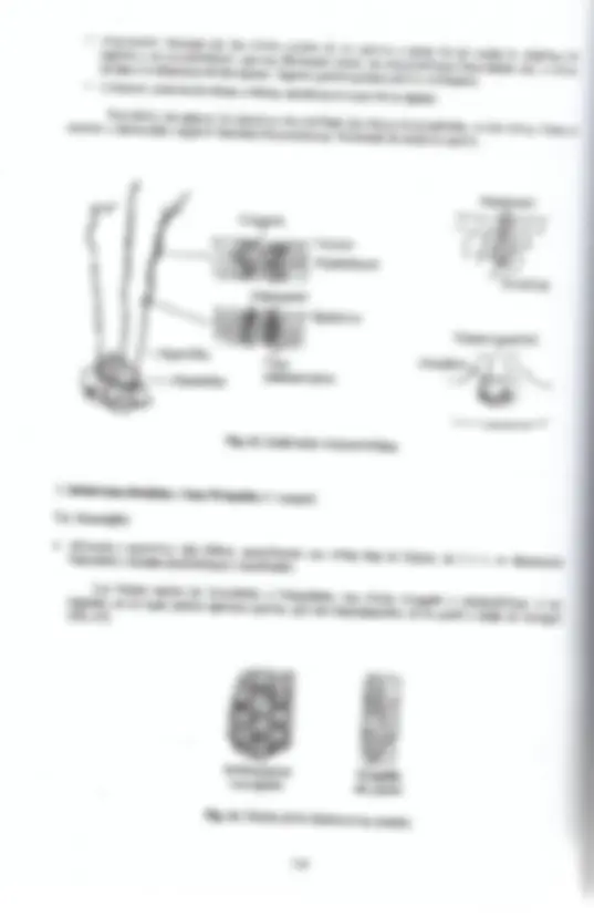 pfa