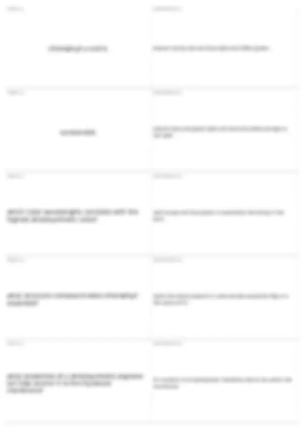 Photosynthesis: Understanding the Process of Light Energy Conversion ...