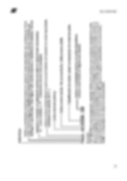pf1b