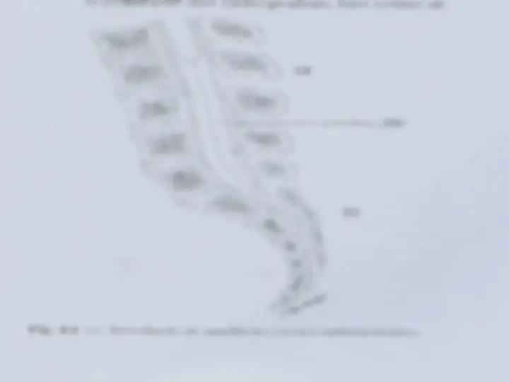 pf25