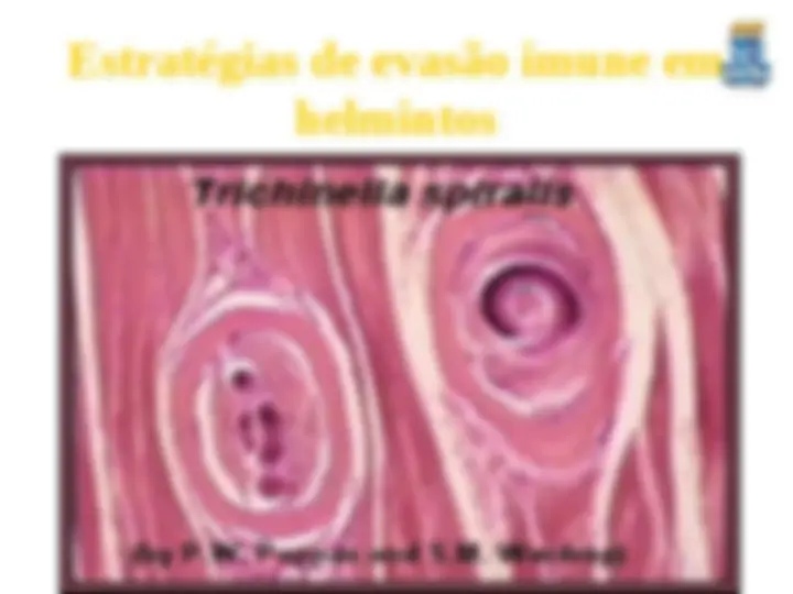 pf35