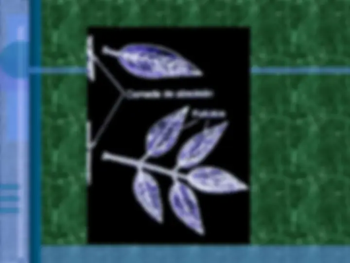 pf14