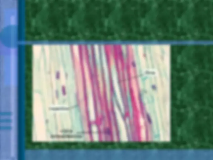 pf3d