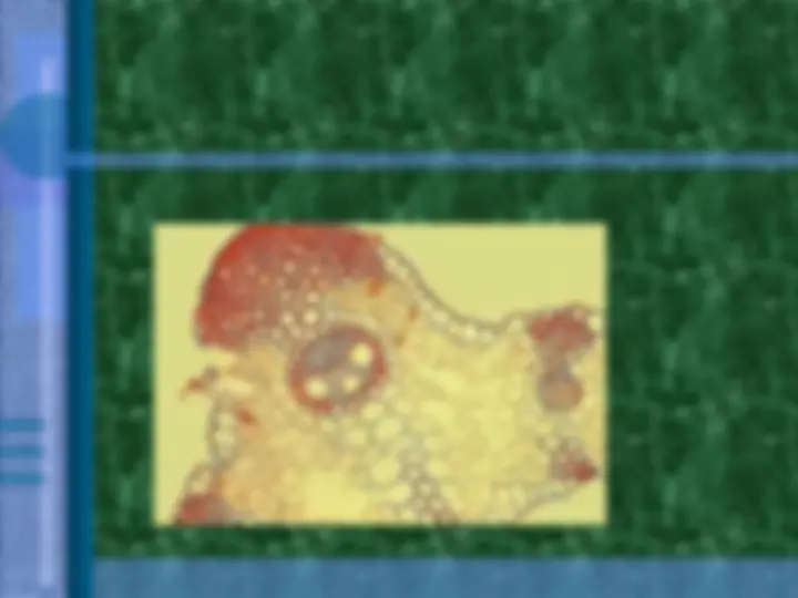 pf48