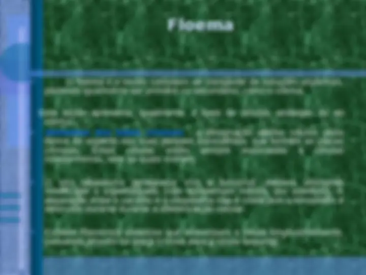 pf42