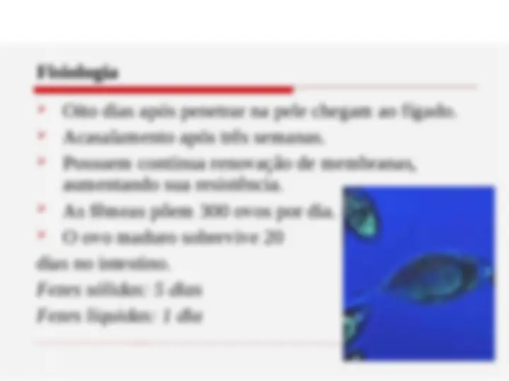 pfe