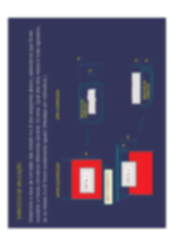 pf12