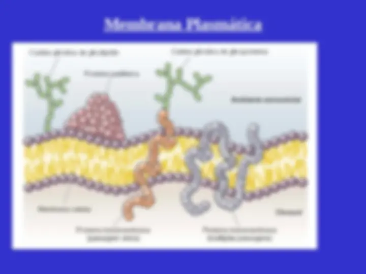 pf3