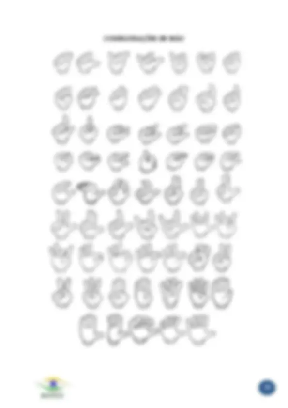 pf13