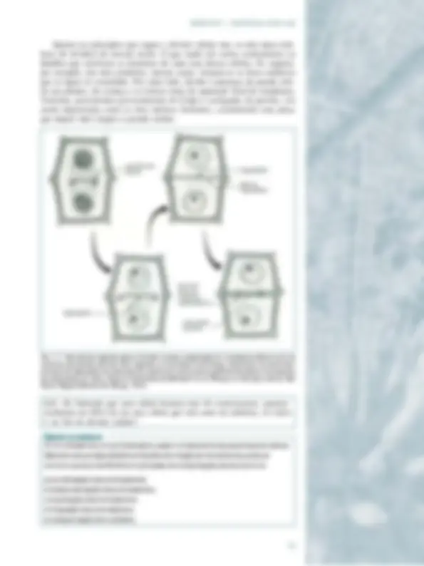 pf1b