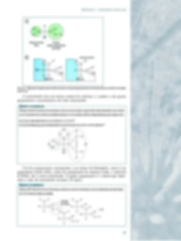 pf27