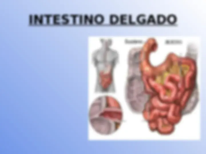 pff