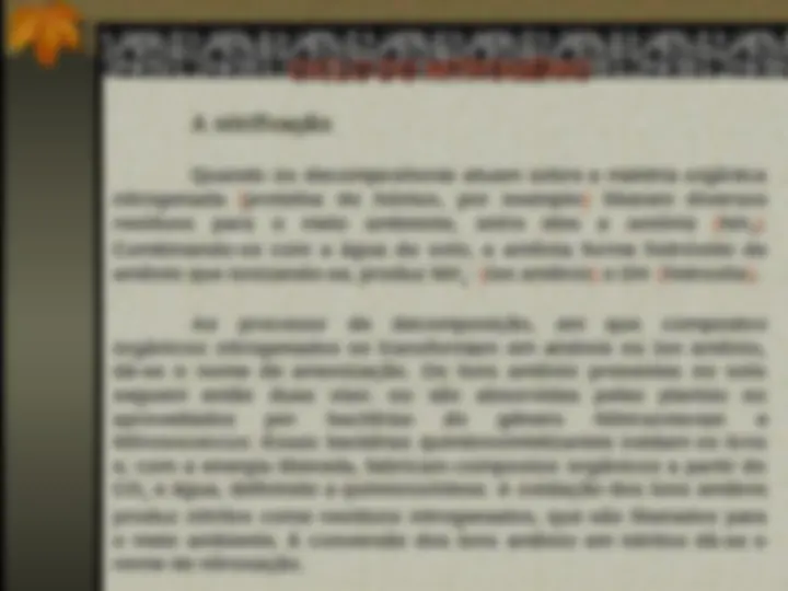 pf27