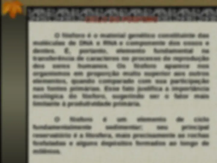 pf31