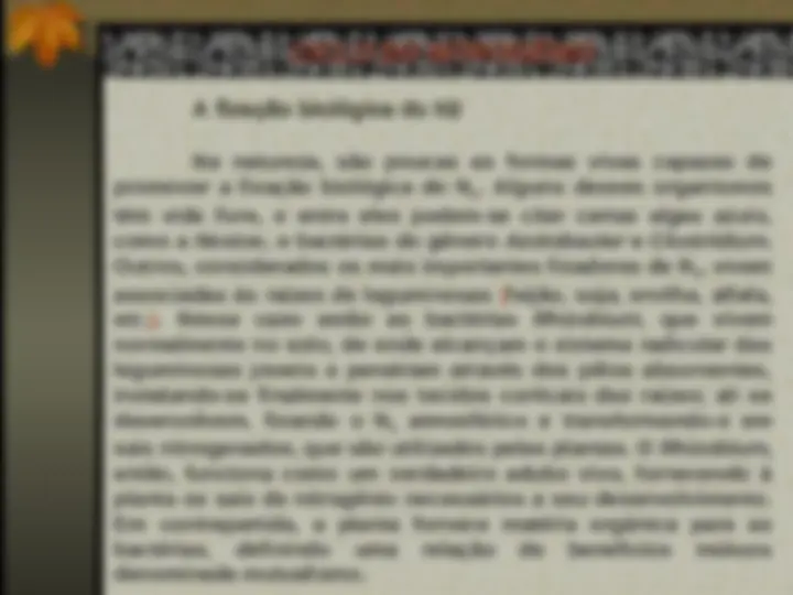 pf26