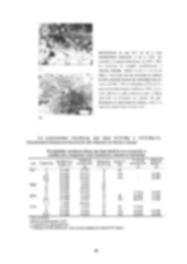pf28