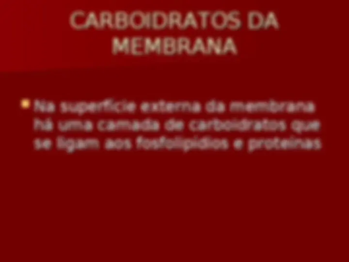 pf24