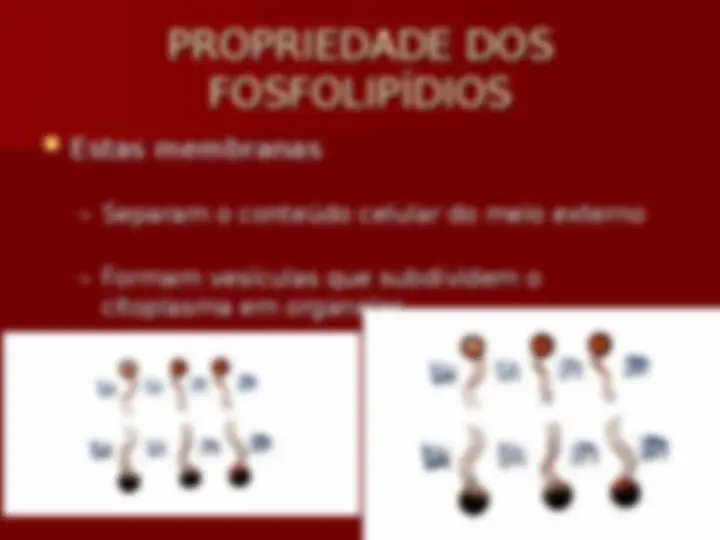 pff