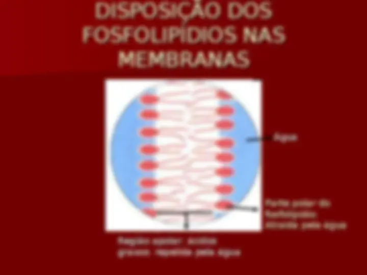 pf13