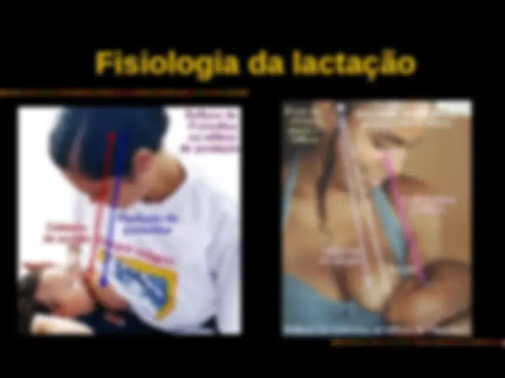 pfe