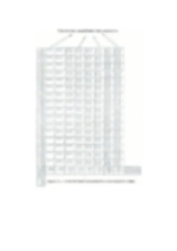 pf25