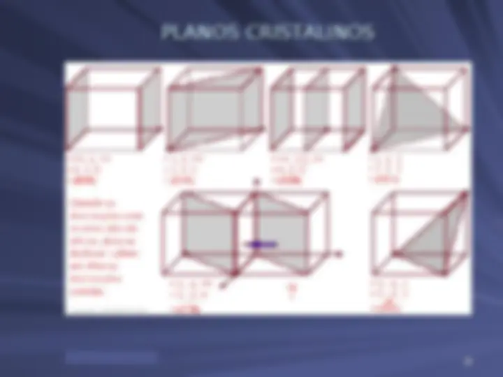 pf19