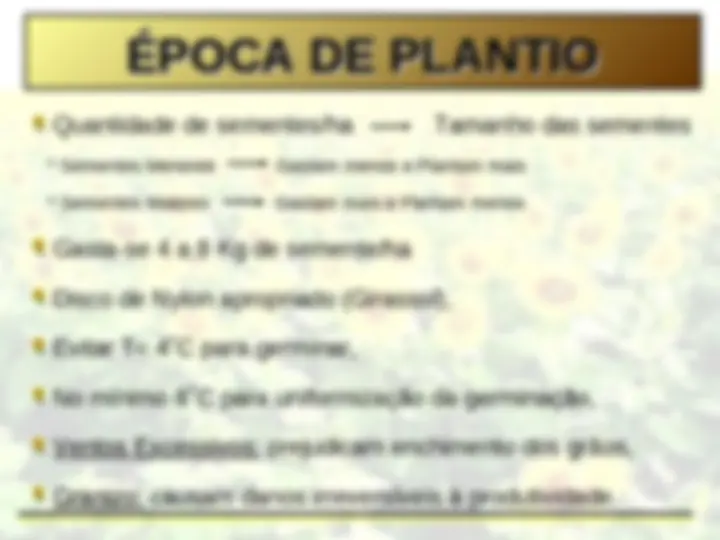 pf23