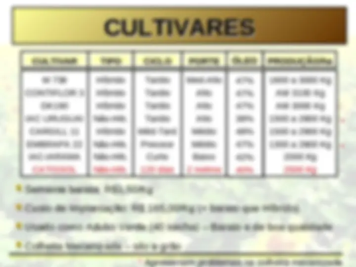 pf24