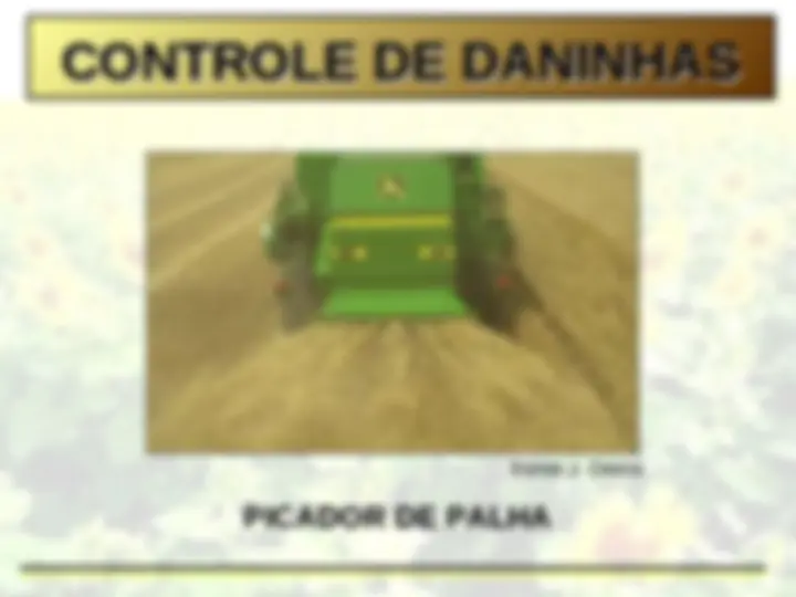 pf31