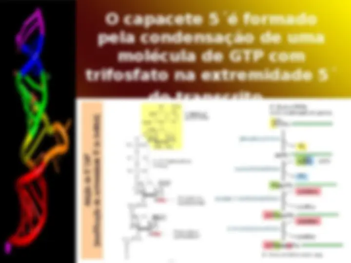 pf57