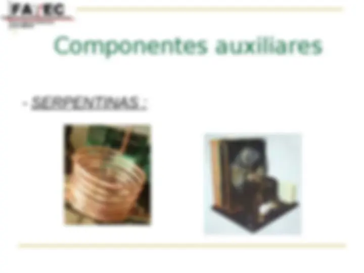 pf24