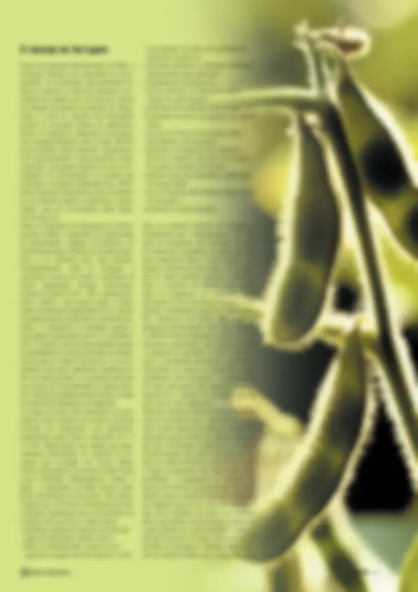 pf5