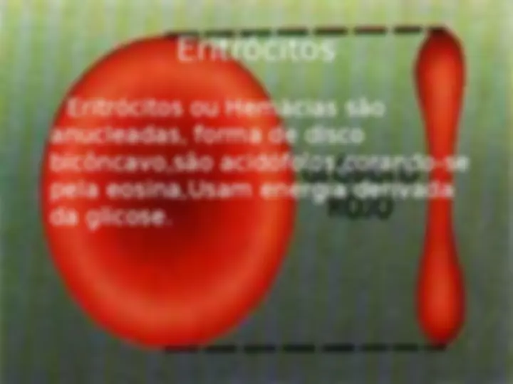 pf24