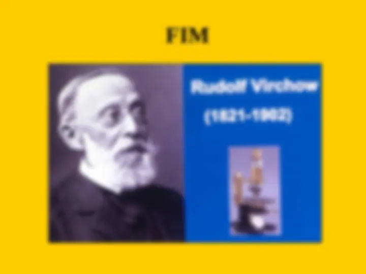 pf1d