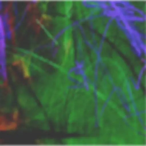 pf3e