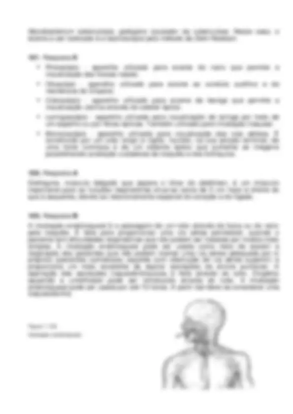 pf35