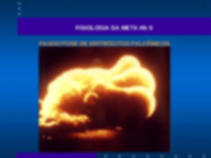 pf29