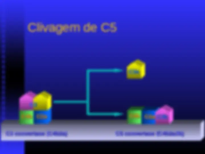 pfe