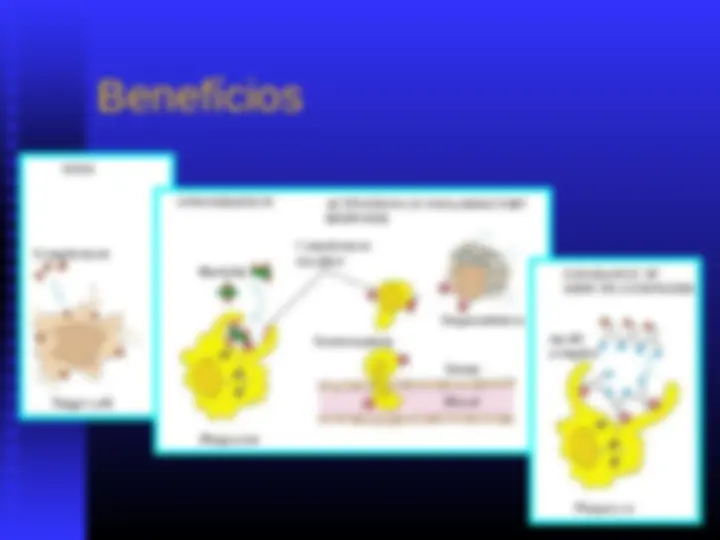 pf16
