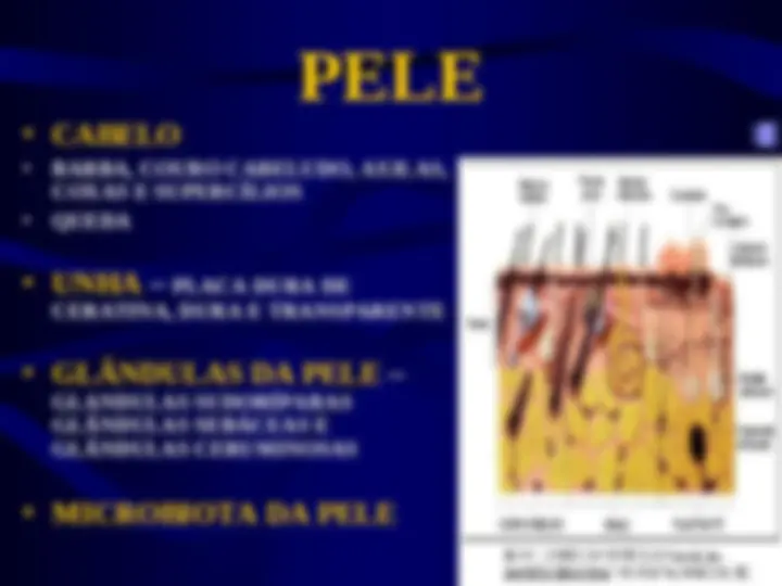 pf4