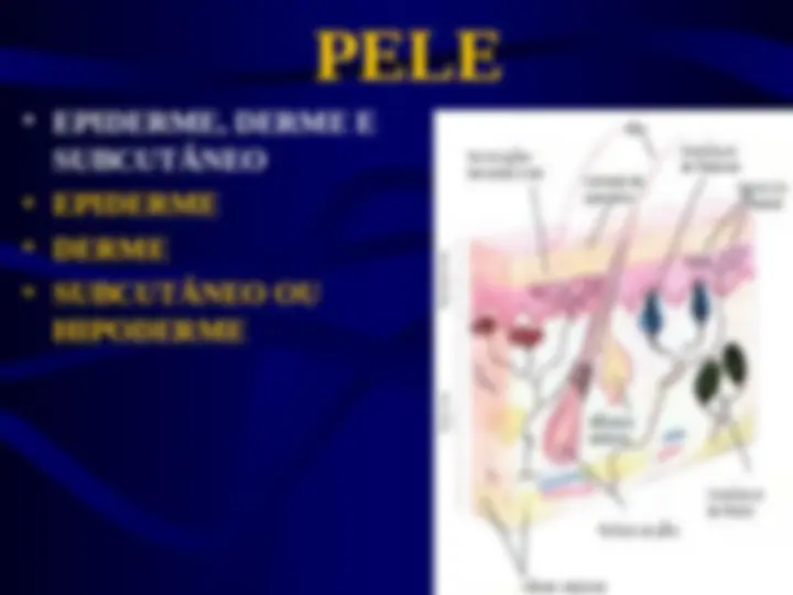 pf3